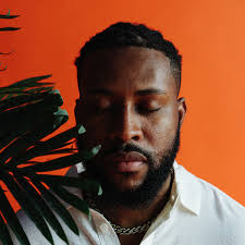 LIMOBLAZE — MATTHEWWWARREN