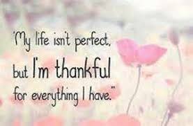 Thankful Quotes Inspirational Profile Picture Quotes Thankful Quotes Grateful Quotes Words