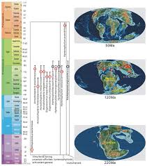 Image result for Polyphlebium borbonicum