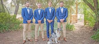 Perfect paws hydrobaths, south murwillumbah. The Perfect Way To Involve Your Pet In Your Wedding
