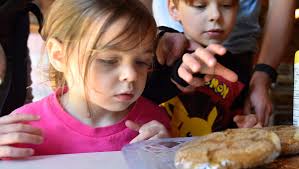 Washington Island Fall Fun Fest & Cider Pressing Party