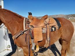 15 inch Mike Heisler Saddle