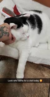 Halifax Veterinary Hospital Home Facebook