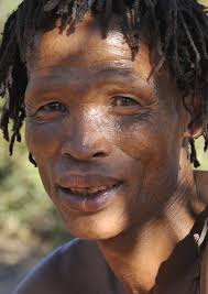 WWF'S POTENTIAL ROLE AND IMPACT IN LION CONSERVATION