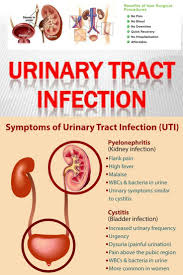 Your Urinary System Is Important For Maintaining Your Health As It Helps With Filtering Wastes From Your Body Bladderinfectionsy Bladder Symptoms Cystitis