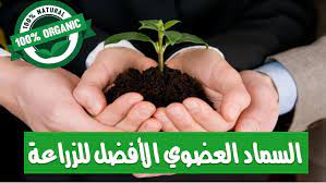 لماذا السماد العضوي هوا الأفضل للزراعة how to dry basil natural organic organic