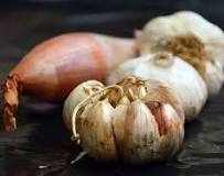 Image result for is garlic a vegetable