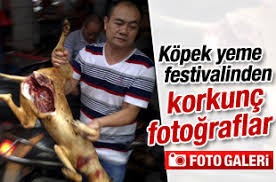 Cin De Kopek Yeme Festivali Yapildi Sanal Basin