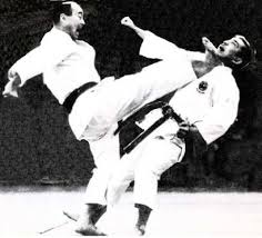 Karate jutsu students became very efficient, highly skilled at the art of killing, maiming and incapacitating their opponents on the battlefield. 77 Karate Jutsu Ideas Karate Shotokan Shotokan Karate