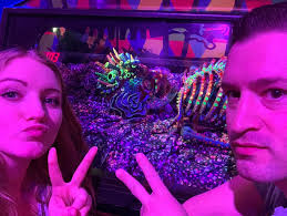 Alisha Nieshe and Tyler Leatherman's Wedding Website