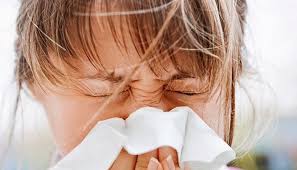 Epingle Sur Maladies Symptomes Et Traitement