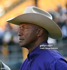175 Pittsburgh Steelers Mel Blount Stock Photos, High-Res Pictures, and  Images