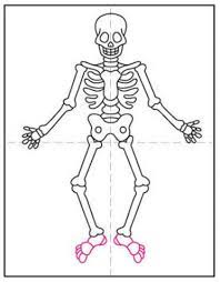 We did not find results for: How To Draw A Skeleton Art Projects For Kids