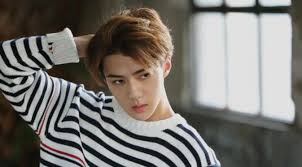Hasil gambar untuk biodata  dan foto sehun