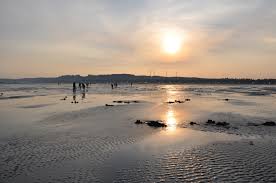 The state park offers camping, hiking,. Grayland Beach State Park Year Of Seattle Parks