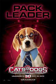 Theatrr Com Perro Gato Perros Gatos