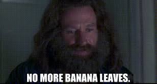 YARN | No more banana leaves. | Jumanji (1995) | Video gifs by quotes |  63e909d7 | 紗