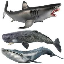 However, the largest of them all, the blue whale weighs between 50 and 150 tons and can grow to over 100 feet in length. Buy Large Emulational Blue Whale Sperm Whale Shark Animal Model At Affordable Prices Free Shipping Real Reviews With Photos Joom