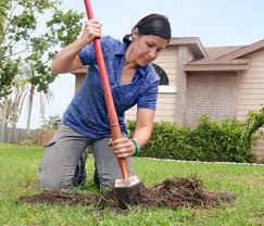 Spray the lubricant generously around the shaft and if the riser moves freely and you can't feel any resistance when you hold it up, the spring is probably broken. How To Replace Or Raise A Sprinkler Head This Old House