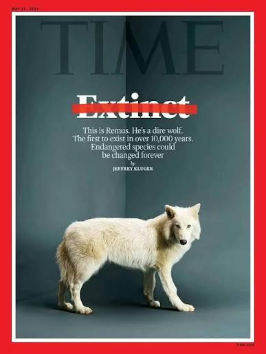 Some companies claim they can 'resurrect' species. Does that make people  more comfortable with extinction?