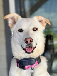 Tamara Hadley-Broker (@discoveryourcolorado) · Loveland, CO