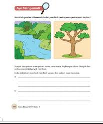 Pak welly adalah kepala sekolah dasar cemara di pelosok kabupaten grobogan, jawa tengah. Kunci Jawaban Tema 9 Kelas 4 Halaman 45 46 47 48 49 50 51 52 53 54 Buku Tematik Sebutkan Manfaat Sungai Pohon Metro Lampung News