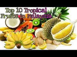 Local malaysian fruit is especially popular. Top 10 Tropical Fruits In Malaysia Malaysian Fruits Name Youtube