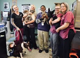 Check spelling or type a new query. Just The Five Of Us Sacramento Spca