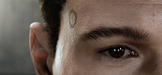 We did not find results for: Dbh Androids On Tumblr