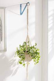 good idea for how to fix hanging plants the wall use brackets or other shelving things from ikea indoor plant strawberry care
