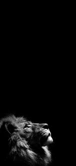 50 خلفية سوداء للايفون animal wallpaper self portrait photography wallpaper