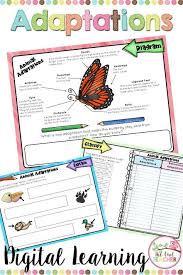 Animal Adaptations For Google Classroom The Owl Teacher Google Classroom Animal Adaptations Digital Learning Activities