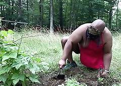 Do not send me to distant courts; Garden Gay Porn