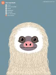 Two Towed Sloth Animal Illustration Illustration Character Design Animal Paintings