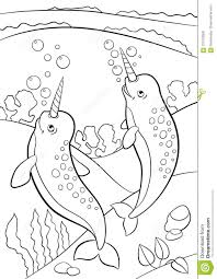 Today, coloring pages for adults are very popular. Narwhals Coloring Pages Coloring Pages Kids 2019