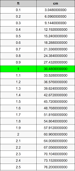 1 foot cm