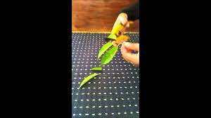 Cantuman dewasa,durian.musang king,,kemahang hilir,benta video clip. Cantuman Baji Pokok Durian Cikgu Sp By Hazirah Sofea