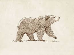 Grizzly Bear Illustration Bear Illustration Bear Sketch Bear Art