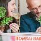 Bonsai Workshop at Rhode Island Spirits Distillery & Tasting Room (Rhodium)