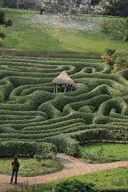 Glendurgan Garden Maze Parcs Jardins Et Paysage