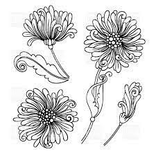 Chrysanthemum Drawing Google Search Floral Drawing Japanese Chrysanthemum How To Draw Hands