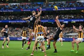 Cessnock District Cricket