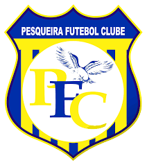 Pesqueira Futebol Clube - Pesqueira-PE - 2º Escudo | Futebol, Clube, Escudo