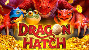 TUTORIAL LENGKAP BERMAIN DRAGON HATCH DARI PG SOFT