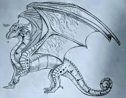 Drawing Book Anatomy Elegant Rainwing Dragons Wings Of Fire Dragons Dragon Drawings In Pencil Simple Dragon Drawing