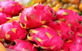 We did not find results for: Asian Varieties California Tropical Fruit Tree Nursery