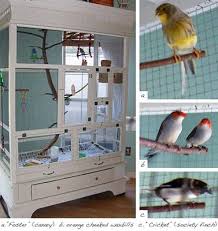 Bird Cage For Sale Craigslist My Diy Aviary And Its New Residents Entertainment Center Furniture Furniture Projects Upcycled Furniture