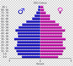 Transición demográfica sur l'encyclopédie wikipédia (en espagnol). Piramide De Poblacion Transicion Demografica Demografia Crecimiento De La Poblacion Turismo Egipto Purpura Angulo Violeta Png Klipartz