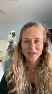 Hilarious Zoom Call Moments with Parrots