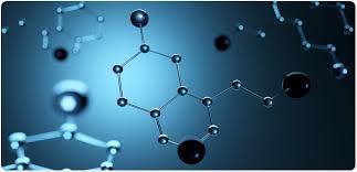 Image result for The studies on serotonin neurotransmitter activity and aggression have found that